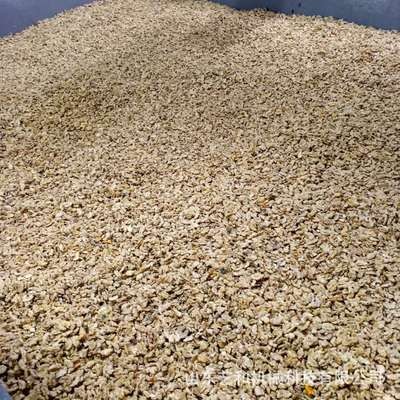 核桃仁物理去皮機 新疆琥珀核桃仁脫衣去皮設備直銷生產