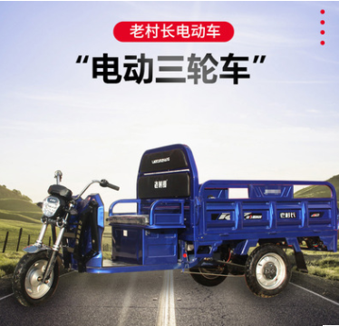 電動三輪車載重貨運(yùn)農(nóng)用三輪車供應(yīng)家用接送孩子三輪代步車
