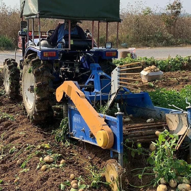 定制地下薯類(lèi)挖獲機(jī) 地瓜收獲殺秧機(jī) 拖拉機(jī)帶土豆紅薯收獲機(jī)