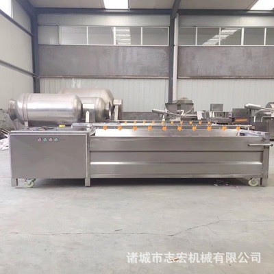 大型全自動水果清洗機 土豆山藥蔬菜清洗機 廠家直銷高淋噴洗設備