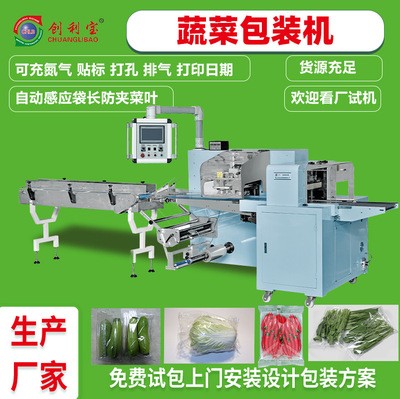 蔬菜包裝機往復式枕式全自動真空包裝機肉類果蔬食品包裝機械設備