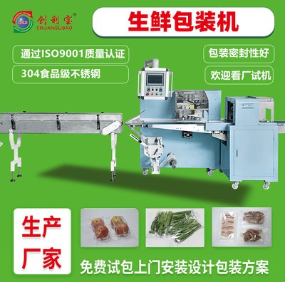 大型生鮮食品枕式包裝機水果蔬菜肉類自動食品包裝機械設備廠家