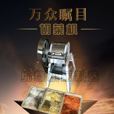 食堂專用切菜機(jī) 果蔬加工設(shè)備 多功能切菜機(jī) 小型切菜機(jī)