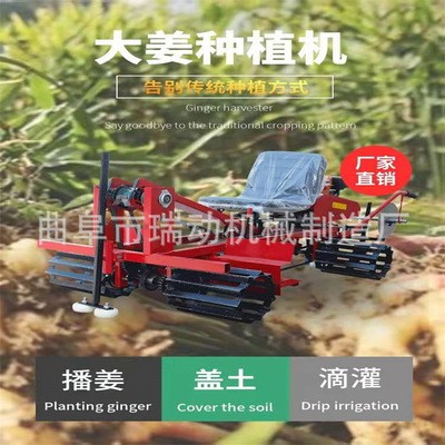 大姜種植機 多功能生姜播種 蓋土 滴灌一體機效率高不傷姜牙