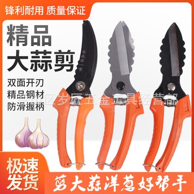 大蒜剪刀專用剪蒜根剪蒜頭剪大蒜剪蒜胡農用大蔥生姜洋蔥專用剪子