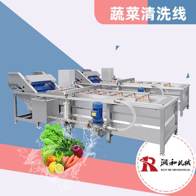 蔬菜清洗機(jī) 氣泡式芹菜去泥清洗線 全不銹鋼自動果蔬清洗機(jī)