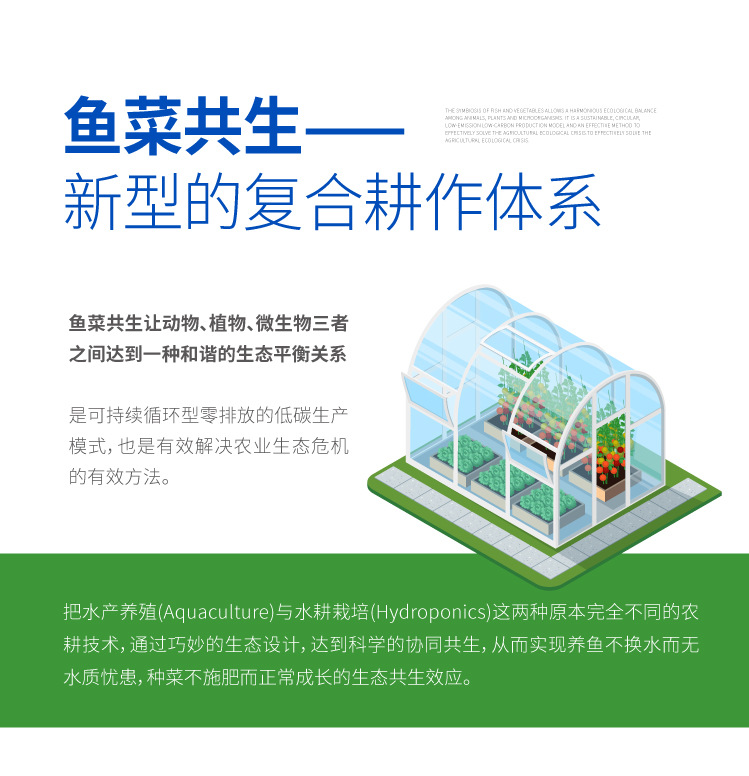 魚菜共生系統(tǒng)