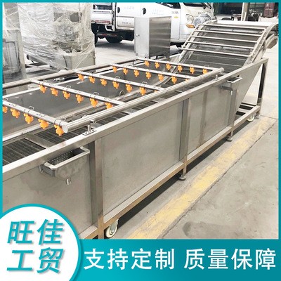 西蘭花菜花清洗機(jī) 龍須菜清洗設(shè)備 不銹鋼果蔬氣泡清洗流水線