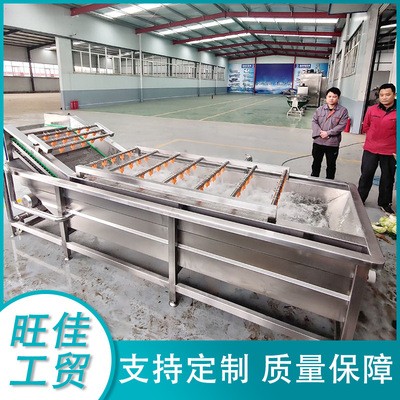 不銹鋼全自動果蔬清洗線 高壓氣泡清洗機 油麥菜金針菇清洗設備