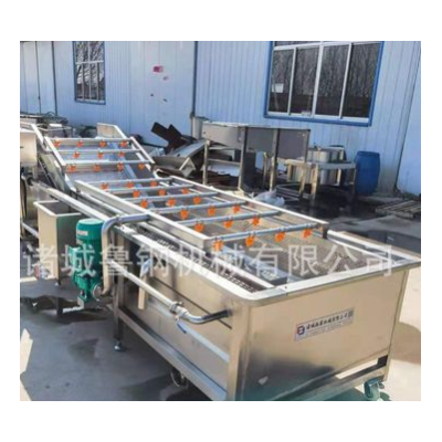 商用果蔬氣泡清洗機(jī) 高壓噴淋清洗機(jī) 小龍蝦清洗機(jī)