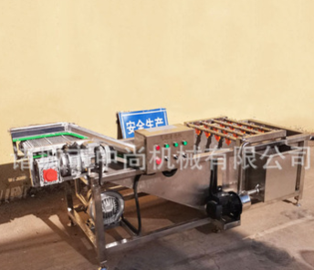 中藥材氣泡清洗機 商用全自動連續式果蔬清洗設備 大型氣泡清洗機