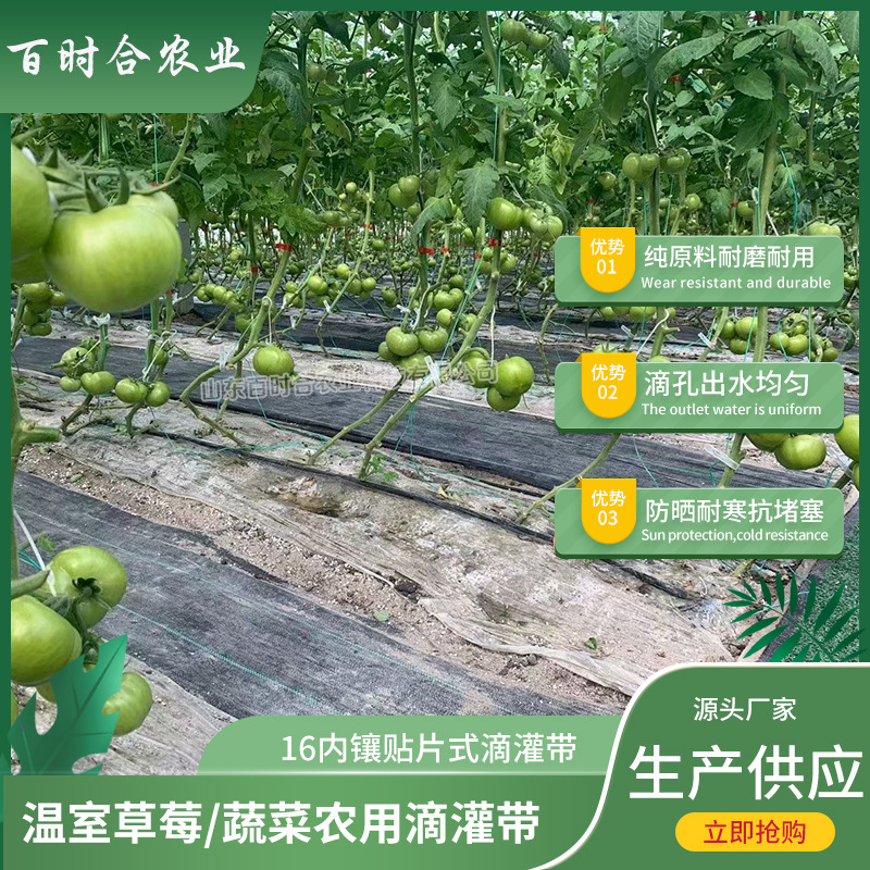 內鑲貼片式滴灌帶價格山東百時合農業科技有限公司