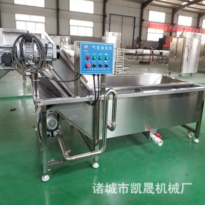 草莓氣泡清洗機(jī)不傷表皮 蘑菇氣泡清洗 西藍(lán)花去泥清洗加工設(shè)備