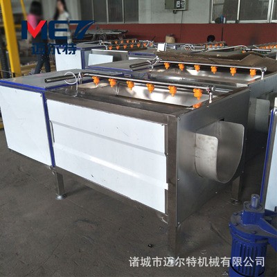 紅薯去皮清洗機(jī) 地瓜毛輥清洗機(jī) 專業(yè)紅薯土豆去皮清洗機(jī)現(xiàn)貨