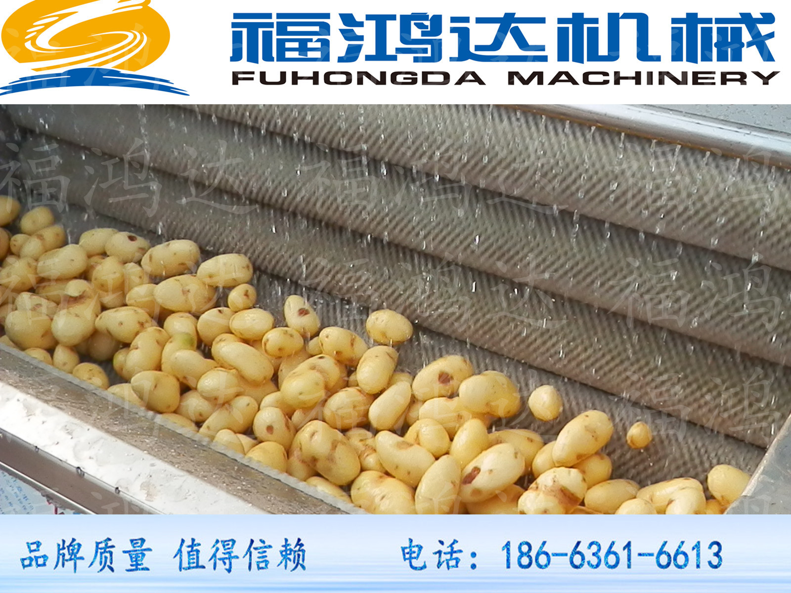 蔬菜毛刷清洗機