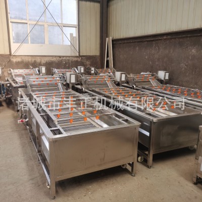 果蔬氣泡清洗機翻浪式小龍蝦氣泡清洗設備廠家供應蔬菜氣泡清洗機
