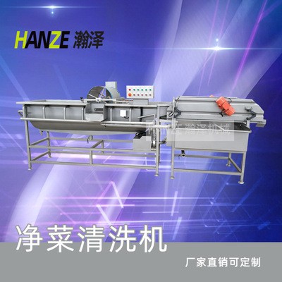 商用全自動噴淋式水果蔬菜清洗機 山野菜去農殘氣泡清洗機