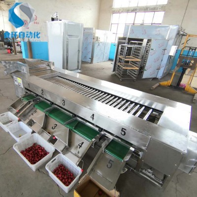 番茄滾杠分級機 滾杠式芋頭選果機 土豆重量分選機價格 廠家供應