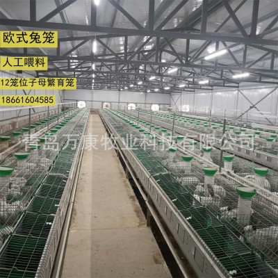種兔繁育籠具 內(nèi)置產(chǎn)仔箱歐式單層12位兔籠