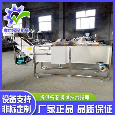 全自動(dòng)噴淋式瓜果氣泡清洗機(jī) 辣椒清氣泡清洗機(jī) 不銹鋼果蔬清洗機(jī)