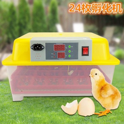 家用卵化器迷你48枚孵化設(shè)備24小型全自動56枚孵化機孵化器孵化機