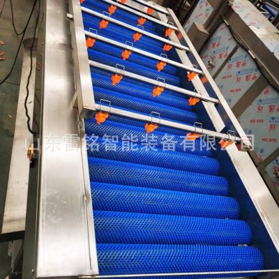 全自動紅薯清洗機 氣泡沖浪噴淋洗菜機 根莖類蔬菜清洗風干線