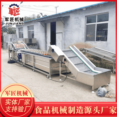 全自動大型果蔬氣泡清洗機 萵筍高壓噴淋果蔬清洗機 蕓豆清洗設備