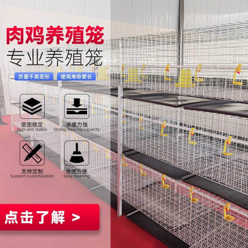 三層兩門立體式肉雞籠鋼絲網(wǎng)養(yǎng)殖設備雞籠子配件H型層疊式肉雞籠