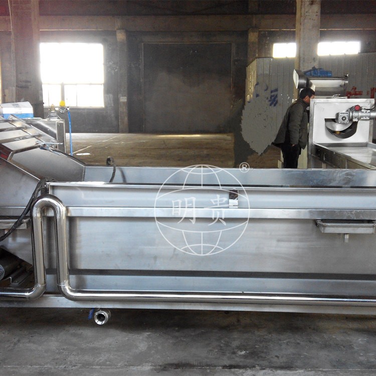秋葵蘿卜片漂洗冷卻線 自動果蔬鼓泡式清洗機(jī) 帶毛輥可除毛發(fā)