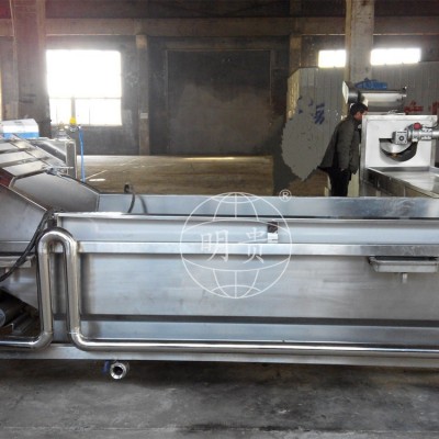 秋葵蘿卜片漂洗冷卻線 自動果蔬鼓泡式清洗機 帶毛輥可除毛發(fā)