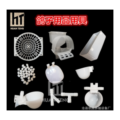 鴿子水杯 自動飲水器 飲水碗 鴿子食槽 蛋窩 沙杯 鴿子用品用具