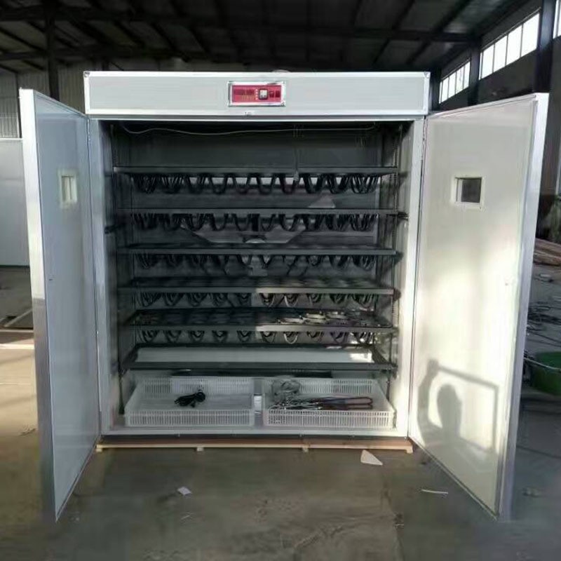 現貨批發大型全自動孵化機孵化箱 鴕鳥孔雀孵化機養殖孵蛋器