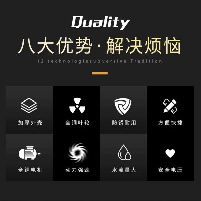 電動車戶外農用澆灌菜水井抽水泵12V24V48V大流量直流自吸泵