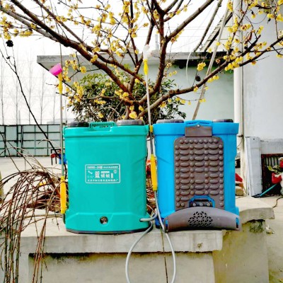 廠家直銷農(nóng)用背負(fù)式可拆卸電動噴霧器 植保消毒鉛酸鋰電打藥機(jī)
