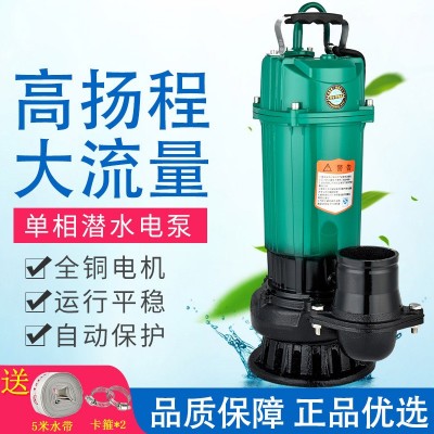 農用220V 1寸2寸3寸4寸四寸潛水泵抽水機大流量高揚程泵魚塘灌溉