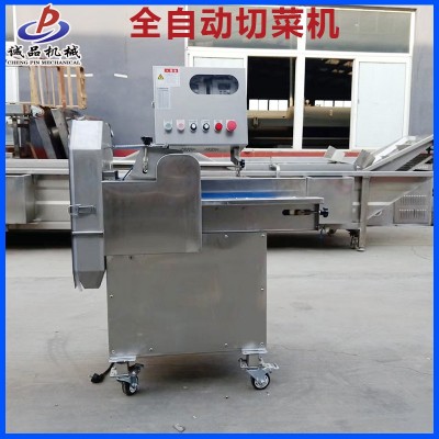 新型多功能土豆切絲機切菜機 商用紅薯切丁機 全自動切土豆片