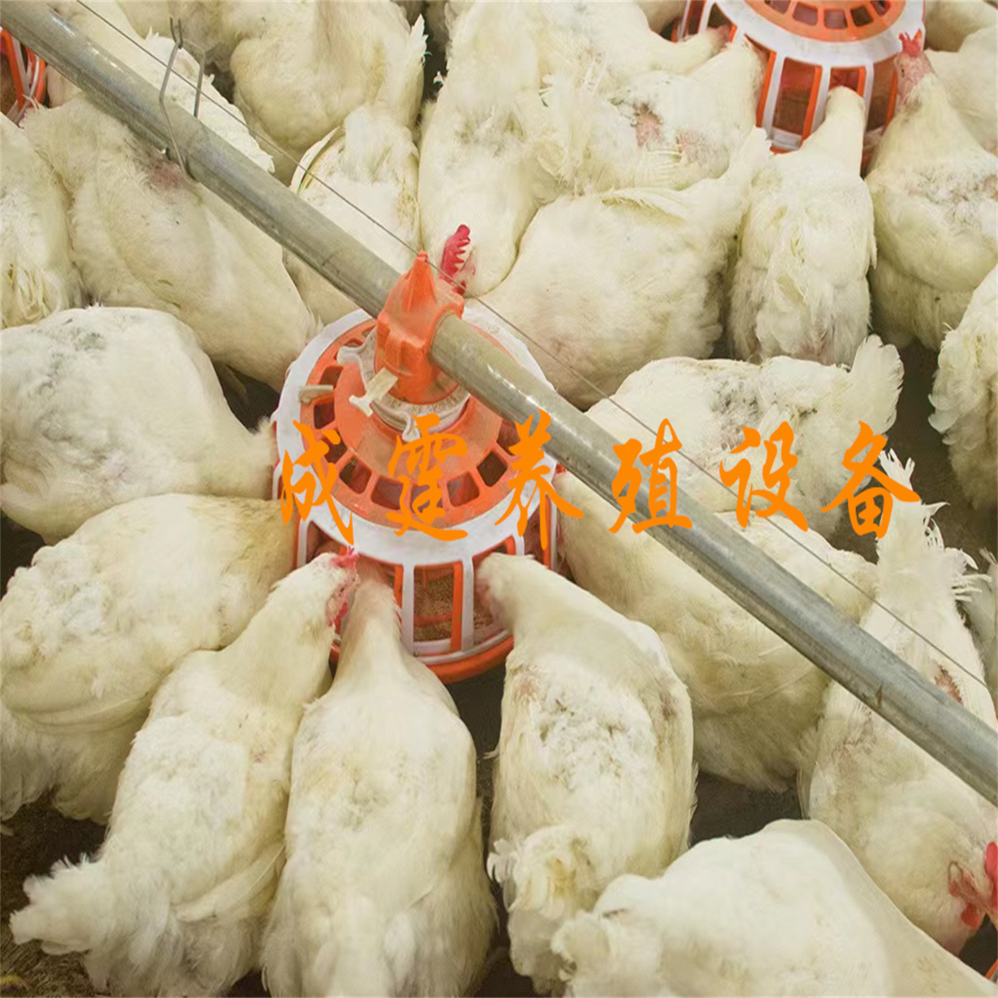 68202d27caf59057146b0a3426379f