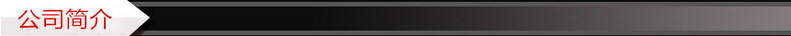公司簡(jiǎn)介