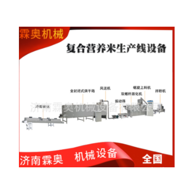 霖奧 RN70速食自熱米飯加工機器 人造復合營養大米生產線