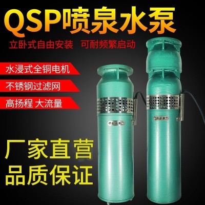 QSP鑄鐵噴泉泵不銹鋼小區(qū)景觀音樂噴泉潛水泵QSP噴泉專用潛水泵