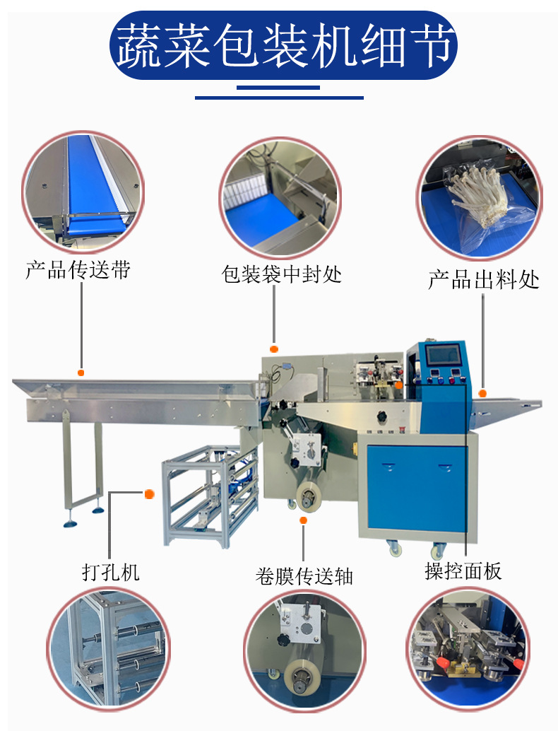 蔬菜包裝機細節(jié)圖