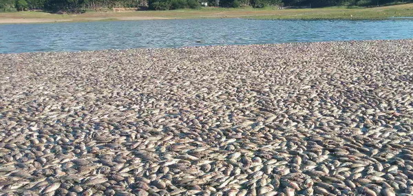 16藍靈的純氧溶氧器為何“難產”？3