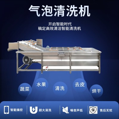 水果蔬菜清洗機全自動噴淋式果蔬清洗機 葉類蔬菜高壓氣泡清洗機