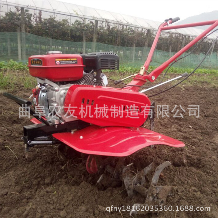 2532915749_1994915270