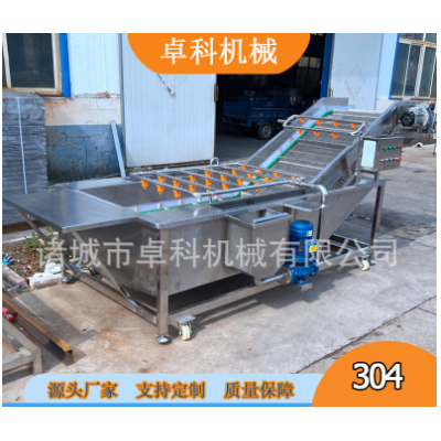 果蔬清洗機水果蔬菜渦流氣泡洗菜機土豆蘿卜清洗機商用臭氧洗菜機