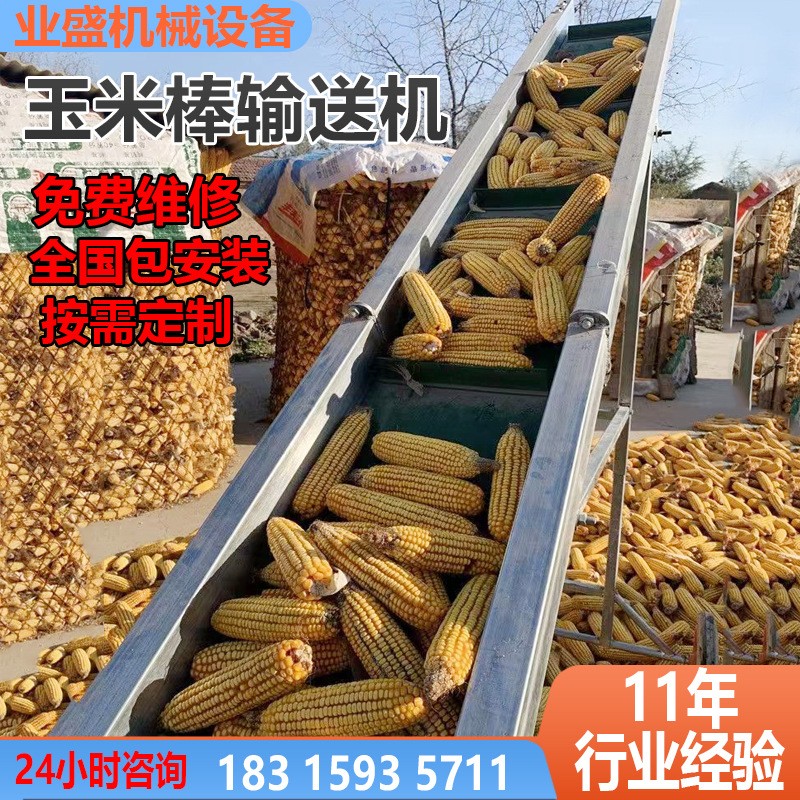 玉米棒鏈板爬坡提升機(jī) 不銹鋼玉米輸送機(jī) 可沖洗上料提升機(jī)現(xiàn)貨