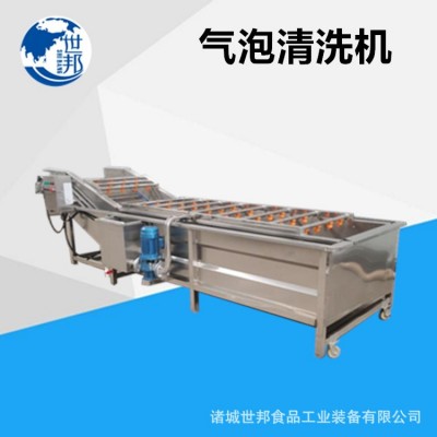 蔬菜清洗機葉類菜全自動氣泡流水像草莓生姜清洗設備