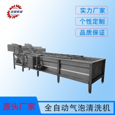 油菜去泥氣泡清洗機 白菜連續式洗菜機 海鮮小龍蝦超聲波清洗設備