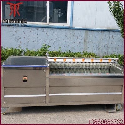 廠家供應紅薯清洗機 不銹鋼毛刷去皮清洗機 根莖類蔬菜毛輥清洗機