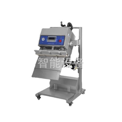 廠家直供 氣動式抽氣充氣兩用 外抽真空包裝機 真空食品封口機